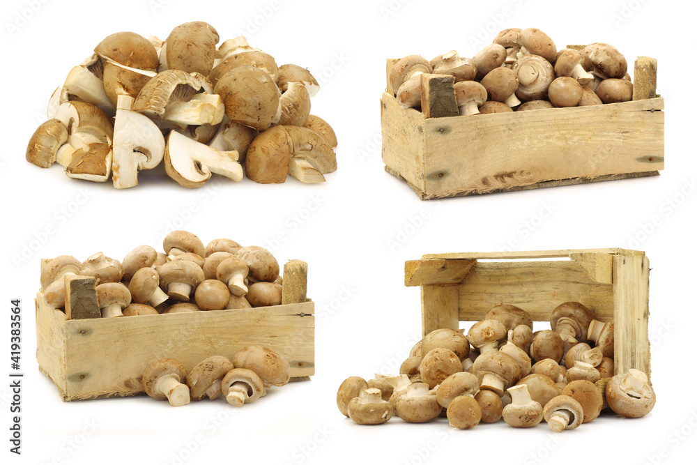 brown champignon mushrooms in and  around  a wooden box on a white background