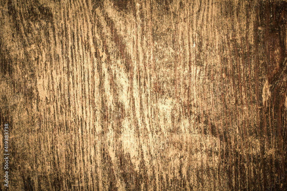 Fototapeta premium old wood texture