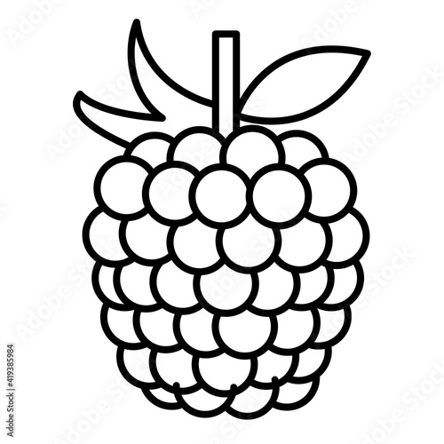 Vector Raspberry Outline Icon Design