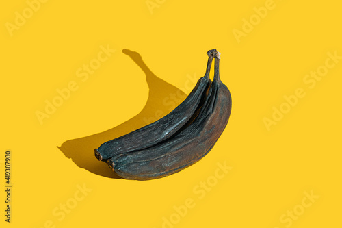Photography old shriveled blackened bananas on yellow background