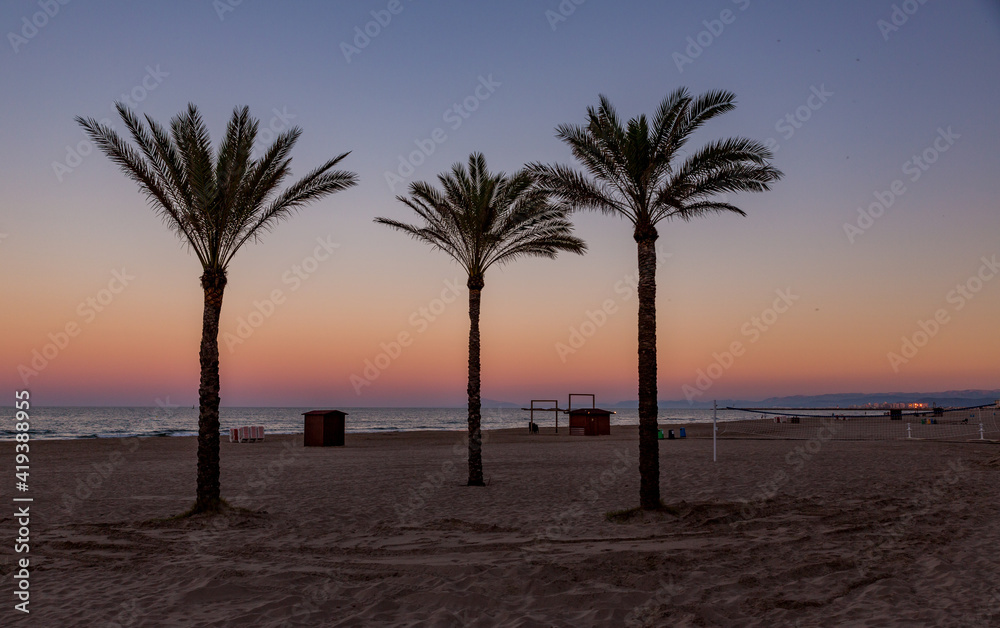 palm trees at sunset on a beach in Spain
