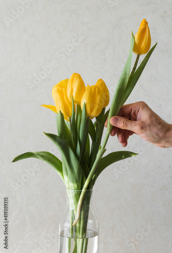 bouquet of yellow tulips in a vase