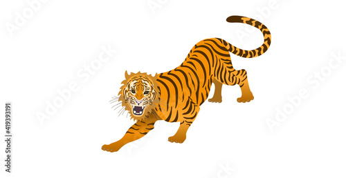 虎（Tiger）