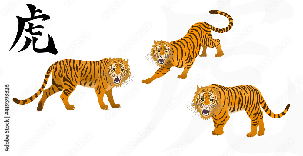 Obraz premium 虎（Tiger）