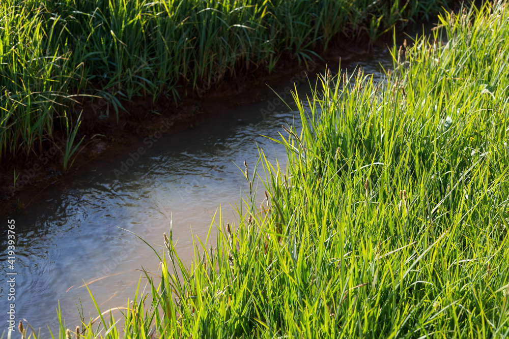 Graben zur Entwässerung von Feldern in der Landwirtschaft Graben zur Entwässerung von Feldern in der Landwirtschaft