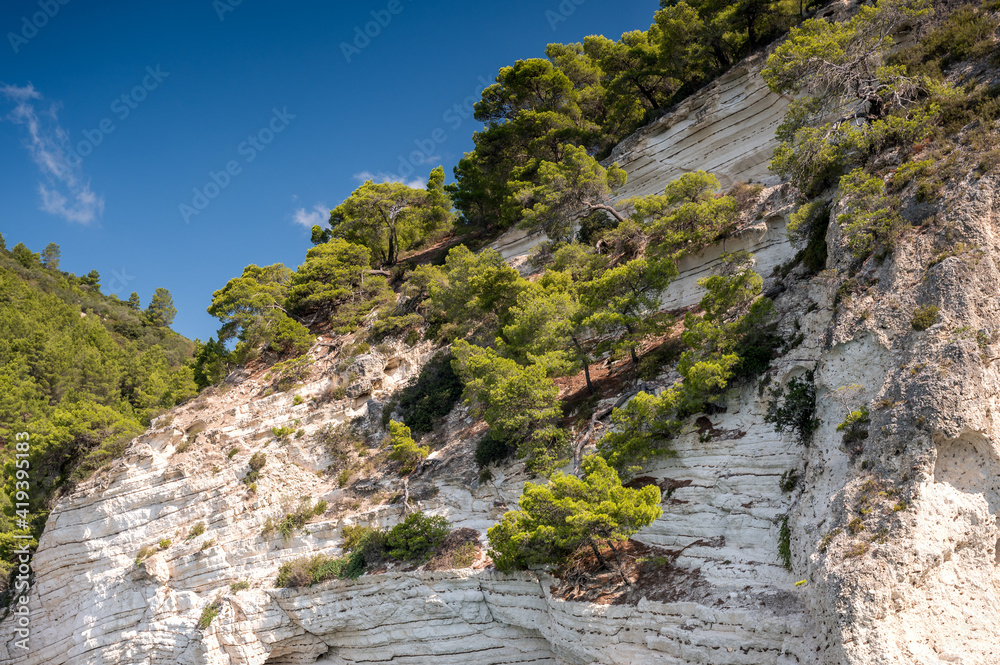 rocky Gargano coast in Puglia