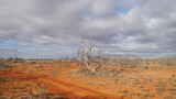 Australian dry bush landscapes near Monkey Mia in Western Australia.