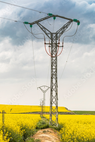 Yellow rapeseed flowers in an extensive field of cultivation, agro-food industry, near Ejea de los Caballeros, in Aragon, Spain, crossed by electricity and high voltage towers. photo