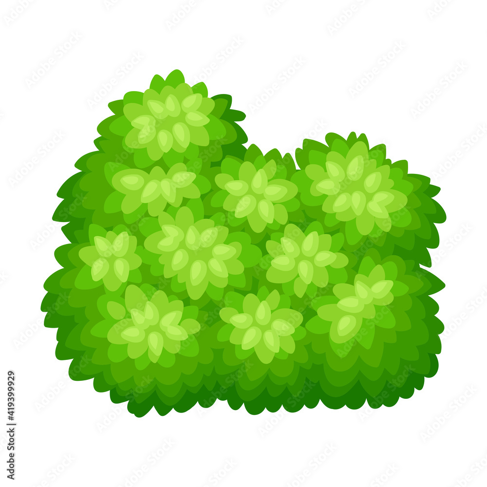 Lush Underwood or Bush as Perennial Woody Plant with Dense Foliage Cover Vector Illustration Lush Underwood or Bush as Perennial Woody Plant with Dense Foliage Cover Vector Illustration