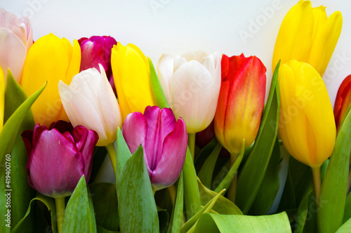 a bouquet of colorful tulips. beautiful spring flowers. background for decoration for the Easter holiday.
