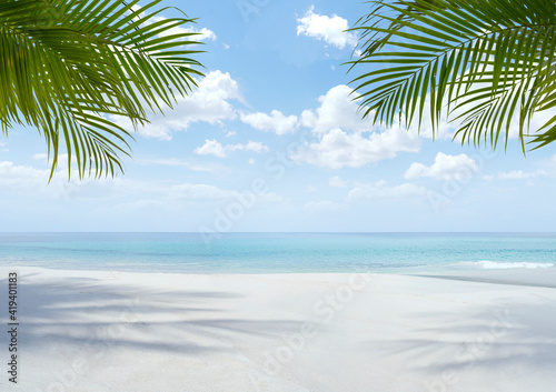 View of nice tropical beach with some palms