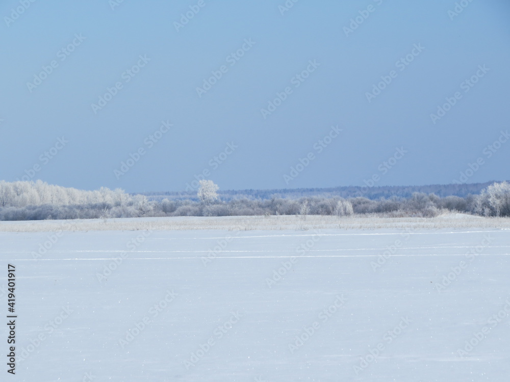 winter landscape with snow covered trees