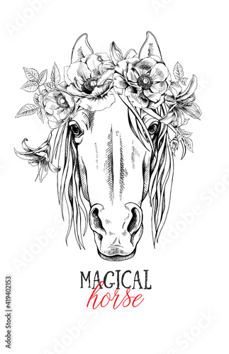 Portrait of a elegant horse. Magical horse - lettering quote. Poster, t-shirt composition, handmade print. Vector illustration.