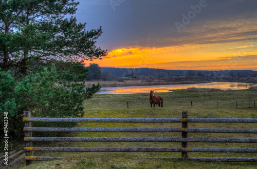 Sunset with horse, river and old wooden fence in Zlekas, Latvia photo