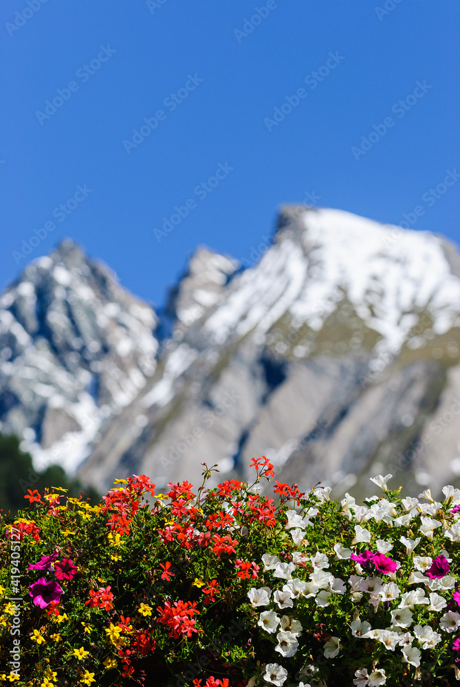Flowers in front of mountain scenery Flowers in front of mountain scenery