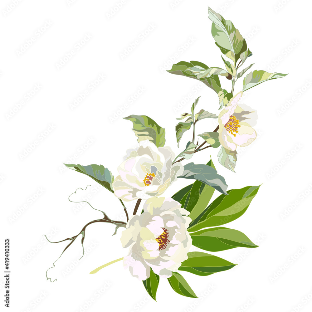 Fototapeta premium blooming branch of white peonies