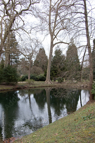 Late afternoon Spring walk in the park