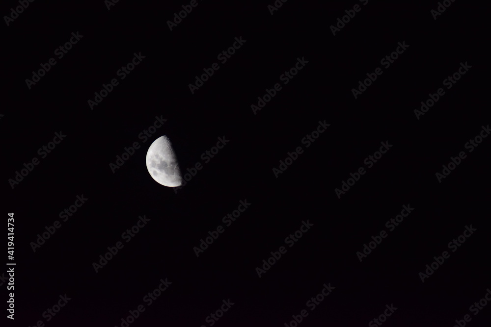 moon in the night moon in the night