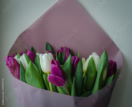 Lots of tulips, purple and white