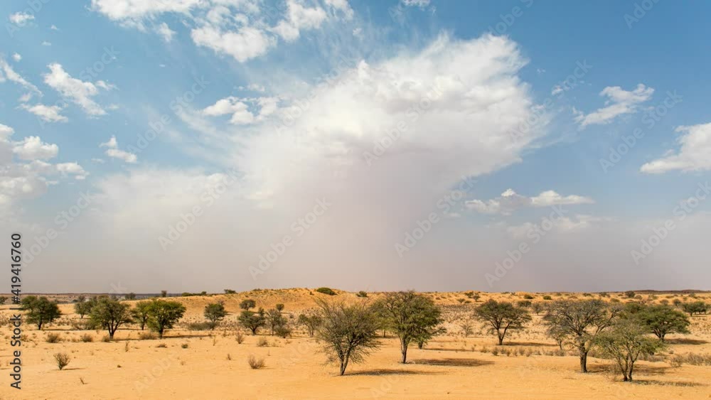 Storm clouds gather in desert timelapse: Kgalagadi Transfrontier Park Storm clouds gather in desert timelapse: Kgalagadi Transfrontier Park