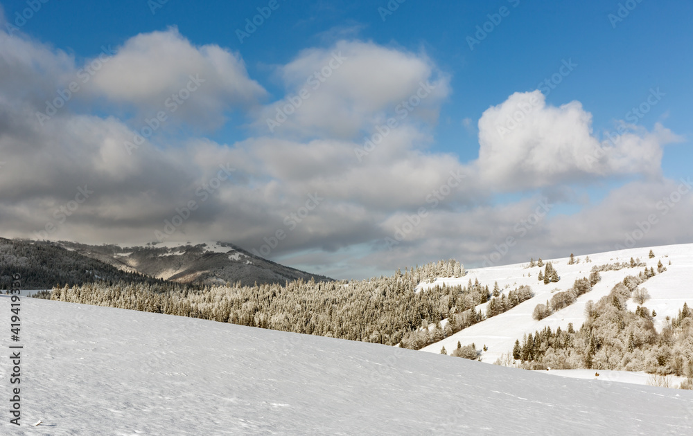 winter meadow in mountains