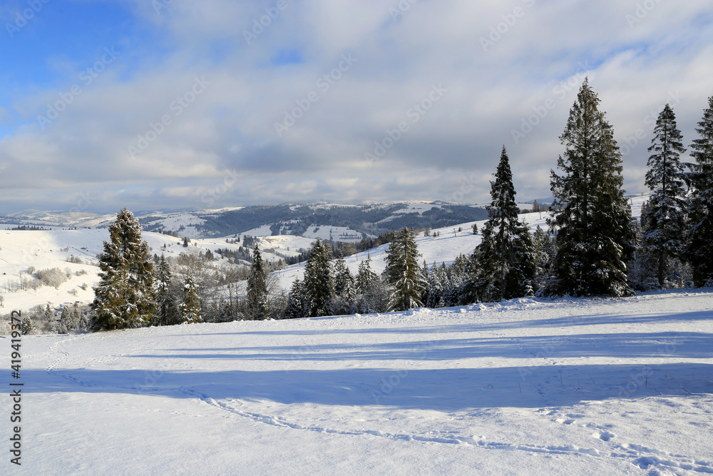 winter landscape in Carpathians