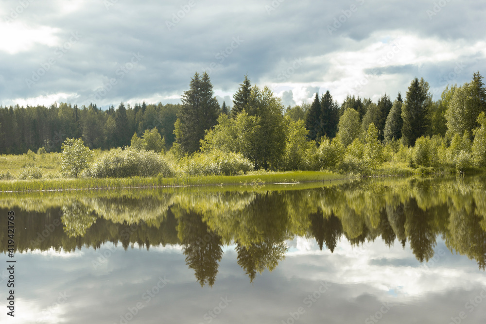 Summer landscape. Reflection of trees in the lake, Russia.