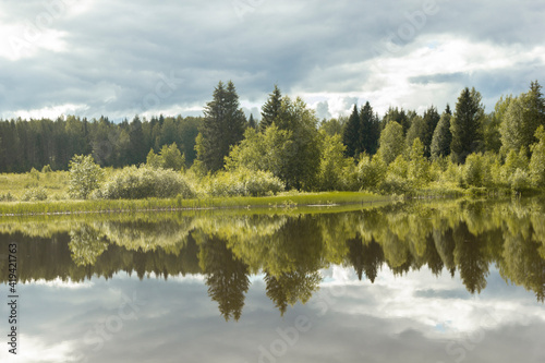 Fototapeta Naklejka Na Ścianę i Meble -  Summer landscape. Reflection of trees in the lake, Russia.