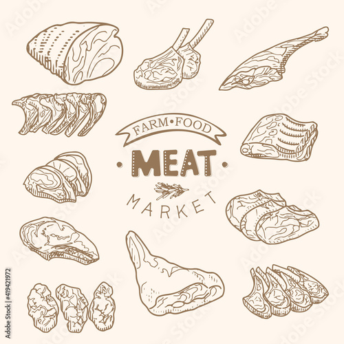 A set of raw meat. Beef, pork, lamb. Vector illustration in the style of a sketch. A booklet, banner, or flyer of a butcher shop or store.