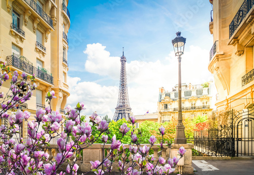 Fototapeta Naklejka Na Ścianę i Meble -  eiffel tour and Paris street