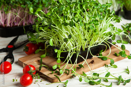 Microgreens the small shoots of any of various plants, such as arugula, dill, kale, or sorrel, that are used as food, especially in salads.  © romeof