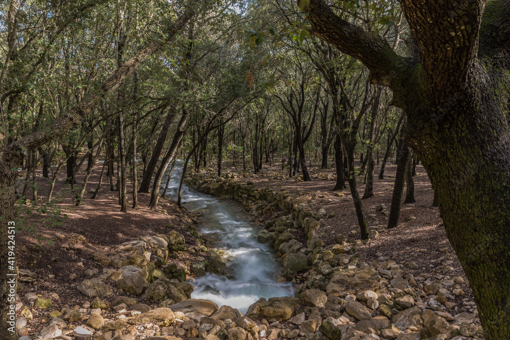 Fototapeta premium Ses Fonts Ufanes, Park in Mallorca, Spain