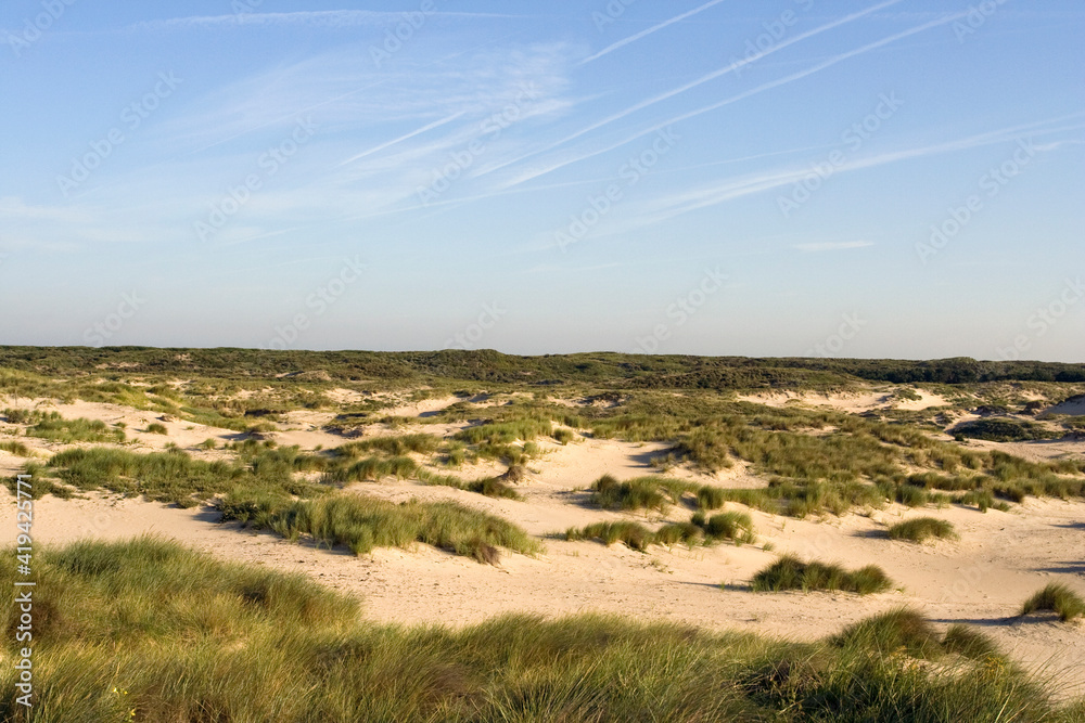 Landschap Berkheide; Landscape Berkheide, Netherlands