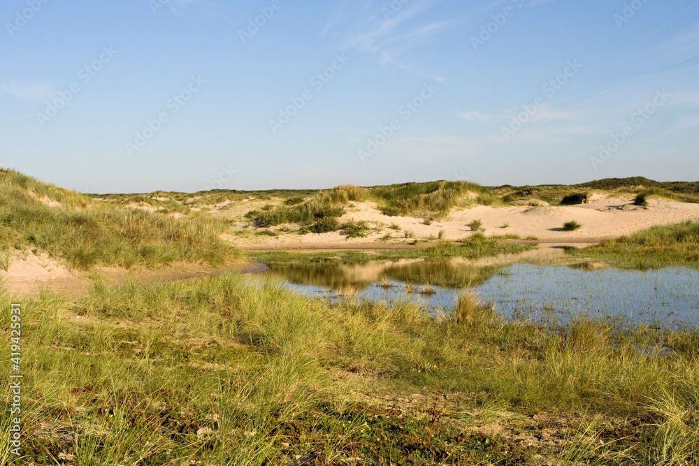 Berkheide, Wassenaar, Nederland / Netherlands