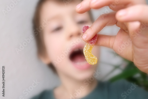 little child, kid eating sweet gelatin candies, looking forward to enjoying his favorite treat, unhealthy food concept, halal gelatin, diet