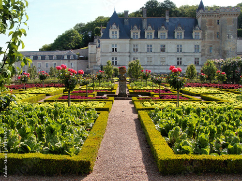 Gardens of the Chateau de Villandry, Loire Valley, France