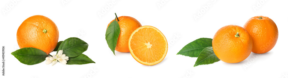 Set with tasty ripe oranges on white background. Banner design Set with tasty ripe oranges on white background. Banner design
