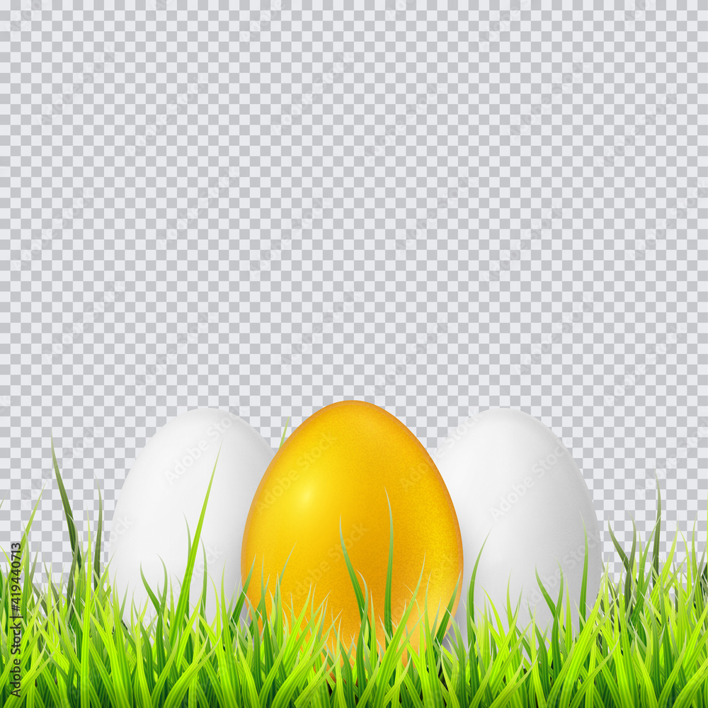 White and golden eggs on a grass. Realistic vector illustration isolated on white background. White and golden eggs on a grass. Realistic vector illustration isolated on white background.