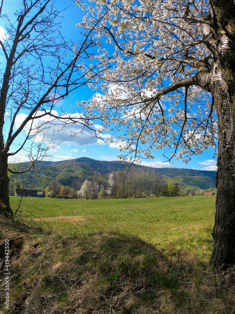 Landscape of Beskidy mountains in Poland taken in sunny spring. Mountain panorama captured during trekking. Landscape of Beskidy mountains in Poland taken in sunny spring. Mountain panorama captured during trekking.