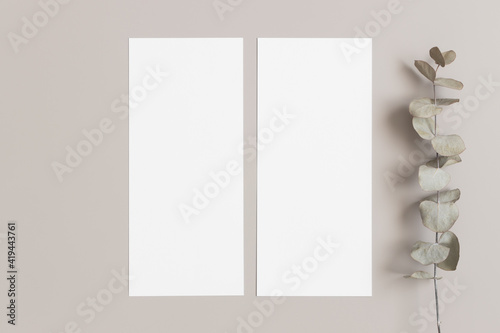 Two menu cards mockup with an eucalyptus deocoration, 4x9 ratio.