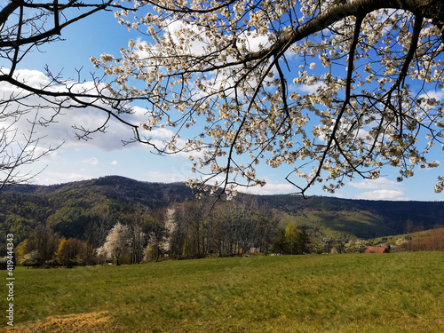 Fototapeta Naklejka Na Ścianę i Meble -  Landscape of Beskidy mountains in Poland taken in sunny spring. Mountain panorama captured during trekking.