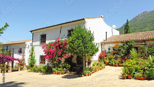 Casa con buganvilla en Benamahoma, Pueblos Blancos de la Sierra de Cádiz, España