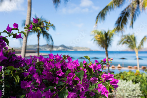 Принти на полотні saint Barth vacance