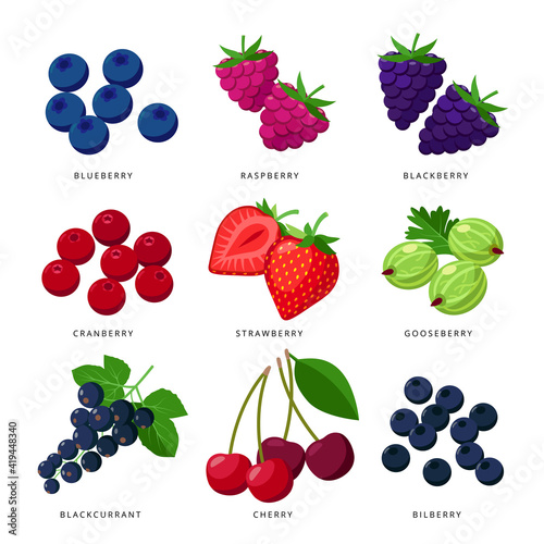 Popular berries set of icons, vector illustration in flat design isolated on white background.