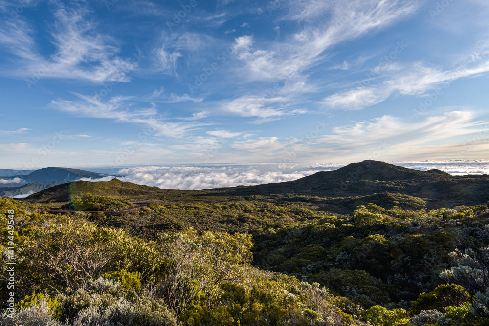 Naklejka premium réunion
