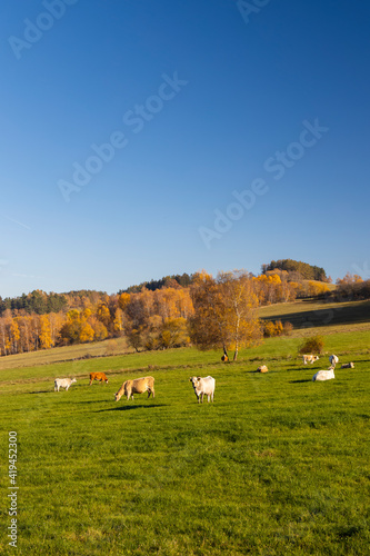 Typical Sumava autumn landscape, Southern Bohemia, Czech Republic