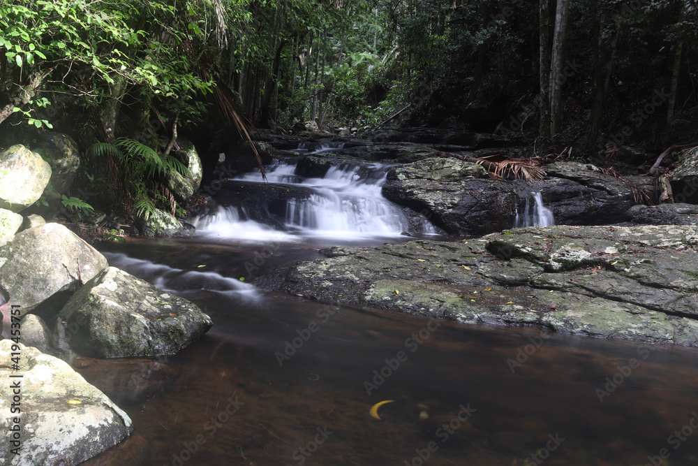 waterfall in the forest waterfall in the forest