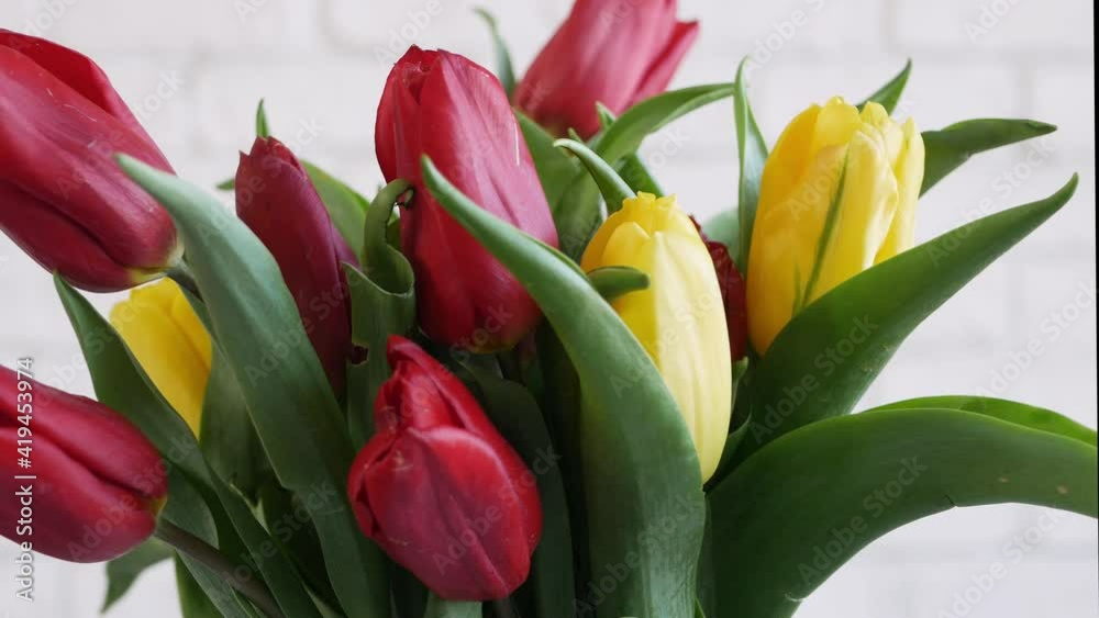 A Bunch of Tulips, Beautiful Colored Flowers, a Birthday Floral Arrangement. A Bunch of Tulips, Beautiful Colored Flowers, a Birthday Floral Arrangement.