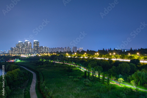 It is a night view of a park located in the city center. The brightly lit streetlights and the balanced green color that appears in the forest give it a refreshing feel.