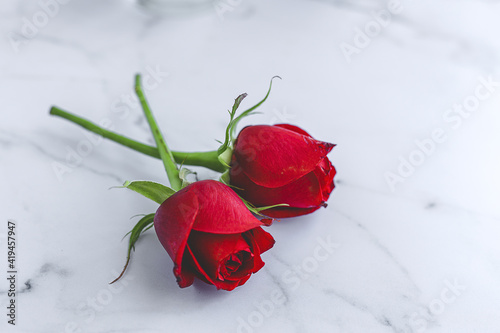 From above composition of blooming fresh red rose flowers arranged on white marble table photo